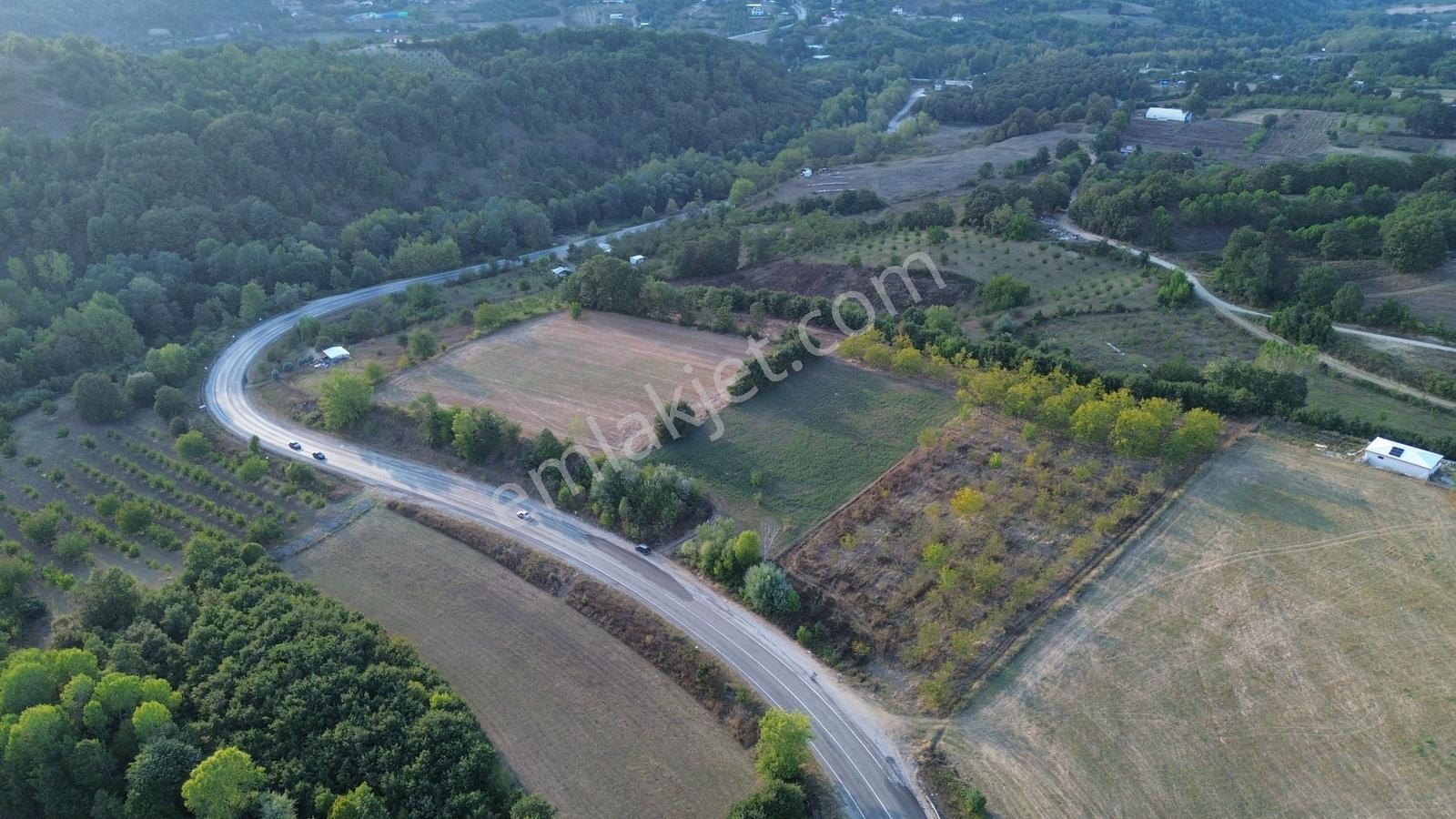 Bursa-kütahya Asfaltına Cepheli4800m2 Yatırımlık Arazi 60m Cephe — fotoğraf 19