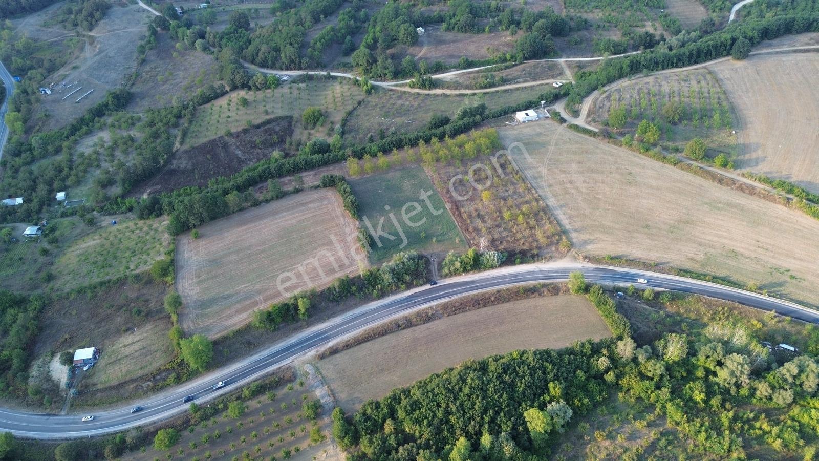 Bursa-kütahya Asfaltına Cepheli4800m2 Yatırımlık Arazi 60m Cephe — fotoğraf 20