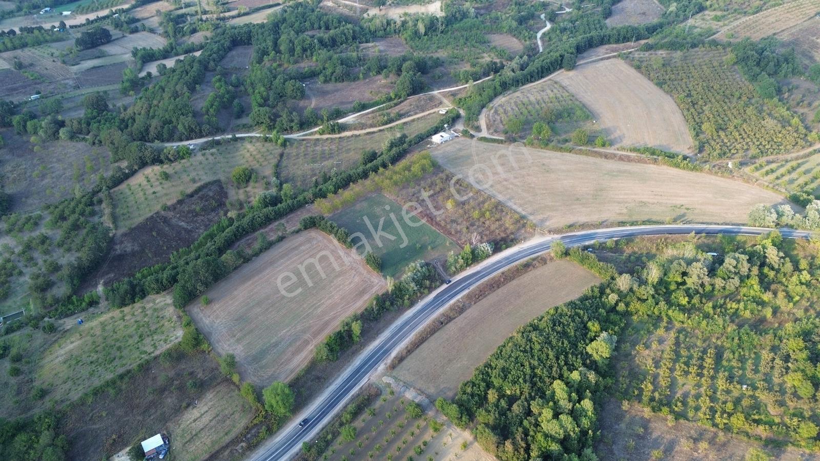 Bursa-kütahya Asfaltına Cepheli4800m2 Yatırımlık Arazi 60m Cephe — fotoğraf 21