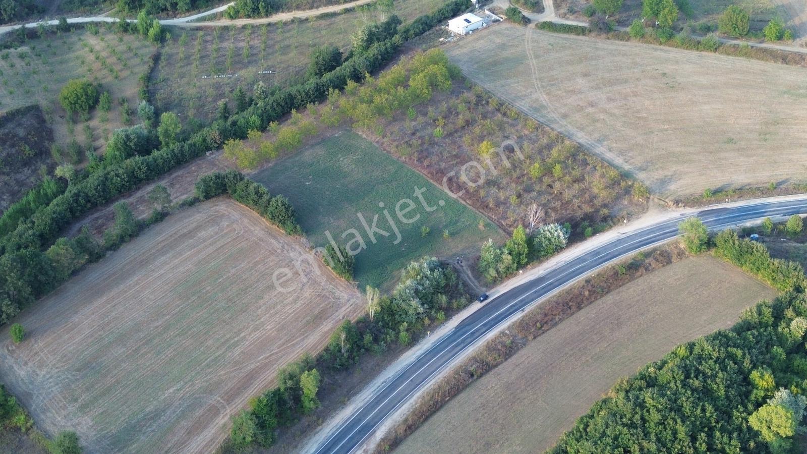 Bursa-kütahya Asfaltına Cepheli4800m2 Yatırımlık Arazi 60m Cephe — fotoğraf 22