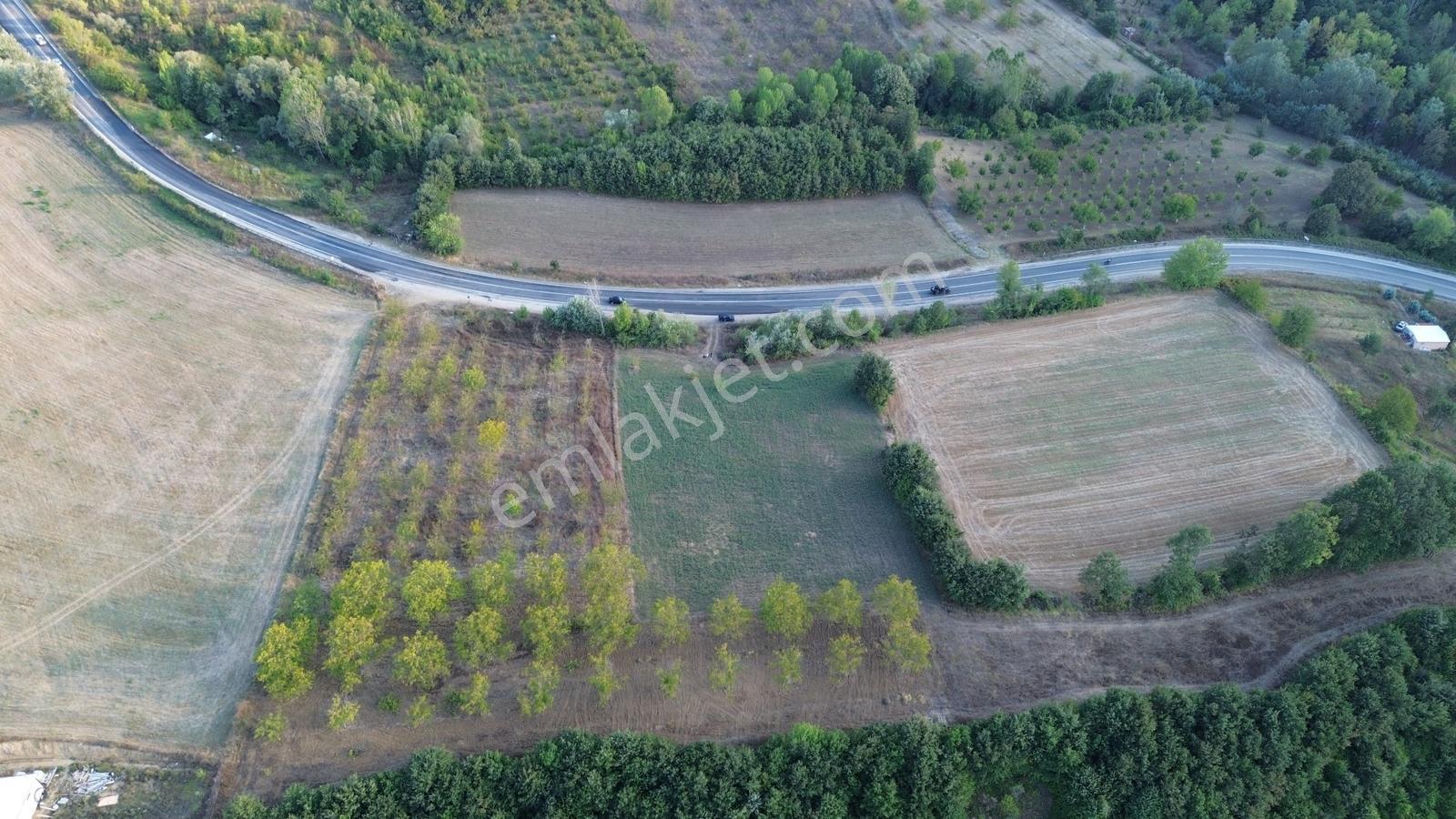 Bursa-kütahya Asfaltına Cepheli4800m2 Yatırımlık Arazi 60m Cephe — fotoğraf 24
