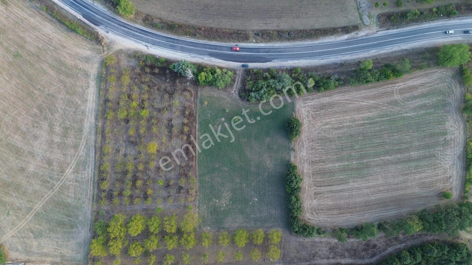 Bursa-kütahya Asfaltına Cepheli4800m2 Yatırımlık Arazi 60m Cephe — fotoğraf 25