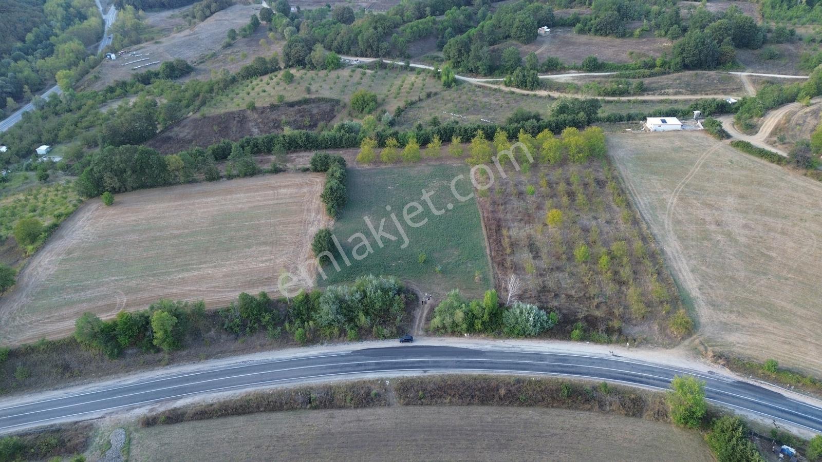 Bursa-kütahya Asfaltına Cepheli4800m2 Yatırımlık Arazi 60m Cephe — fotoğraf 26