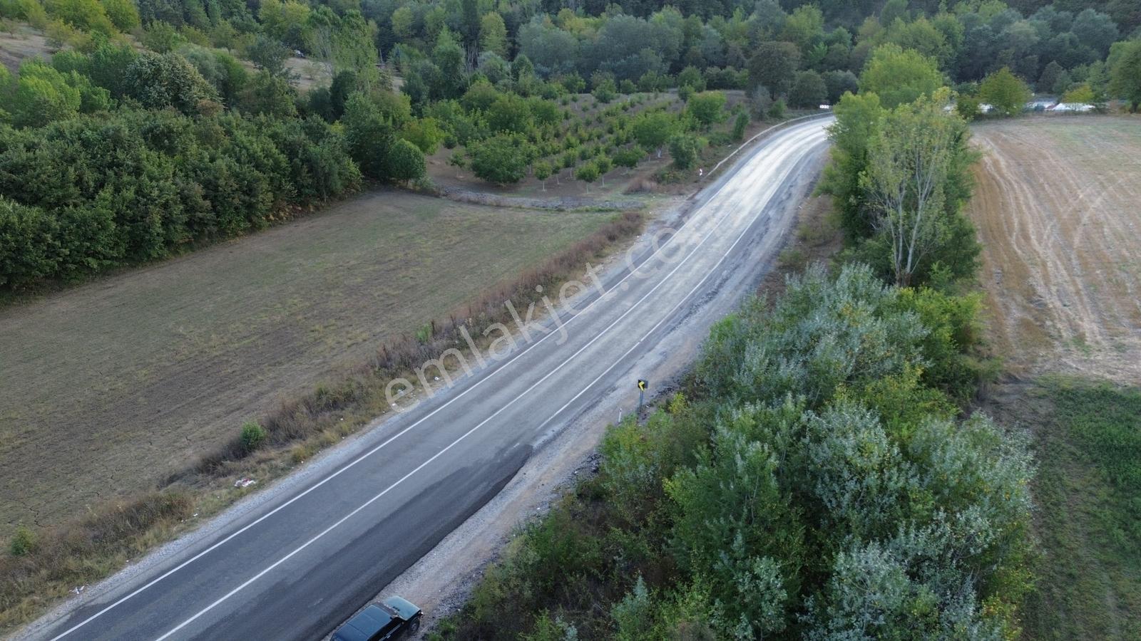 Bursa-kütahya Asfaltına Cepheli4800m2 Yatırımlık Arazi 60m Cephe — fotoğraf 27