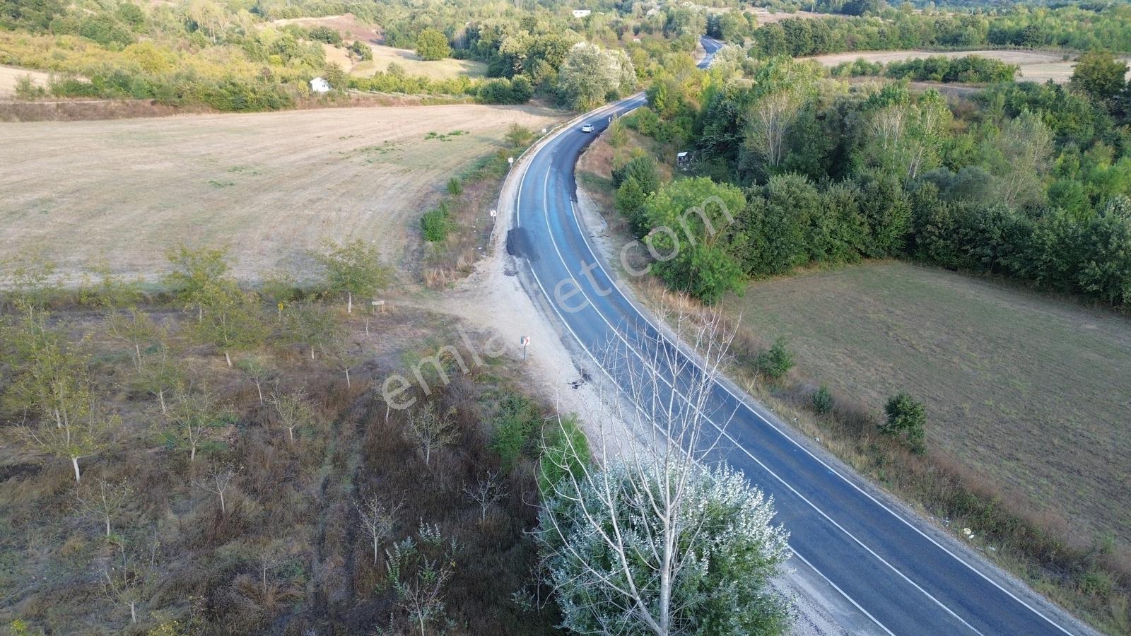 Bursa-kütahya Asfaltına Cepheli4800m2 Yatırımlık Arazi 60m Cephe — fotoğraf 28
