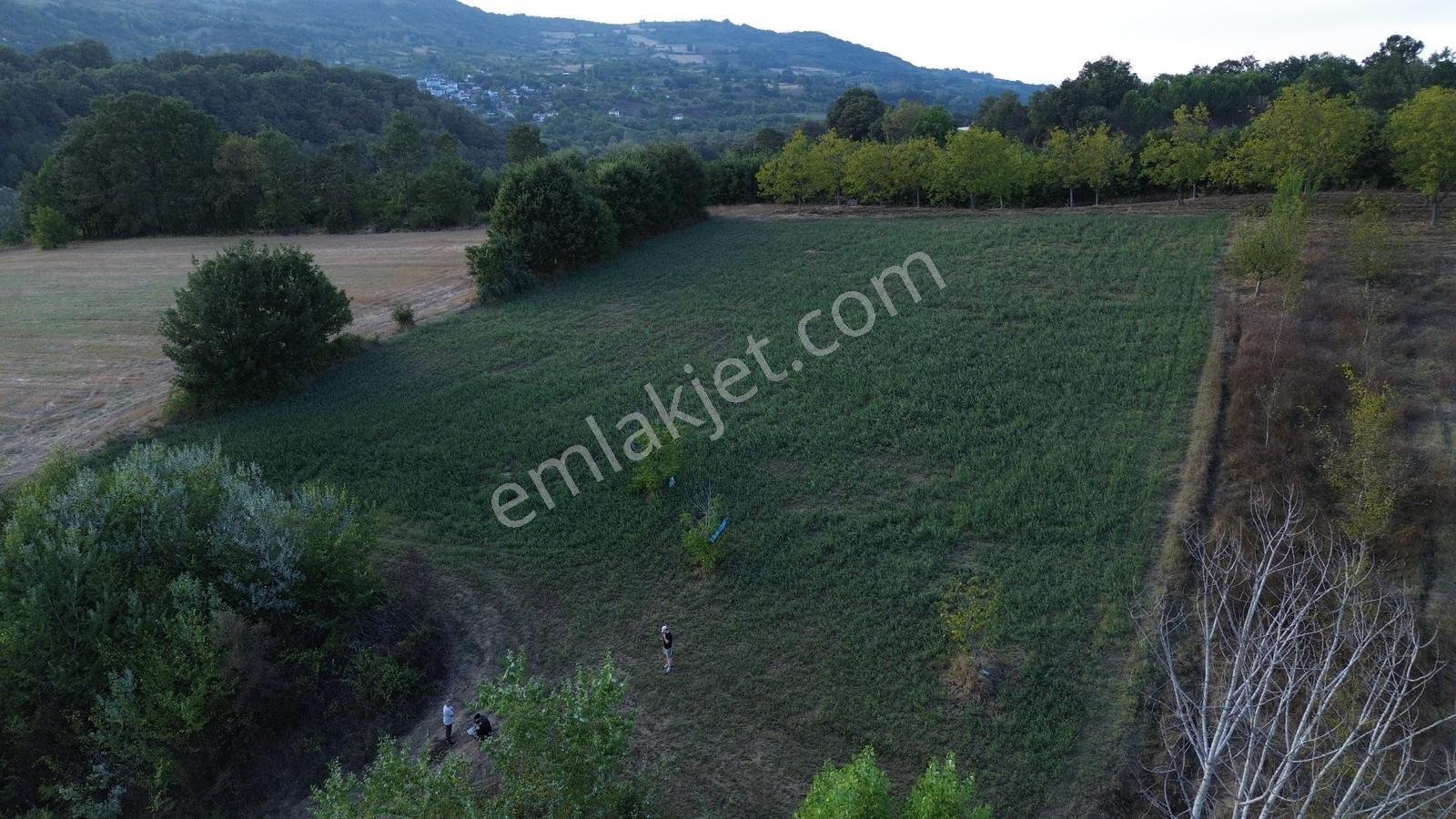 Bursa-kütahya Asfaltına Cepheli4800m2 Yatırımlık Arazi 60m Cephe — fotoğraf 29