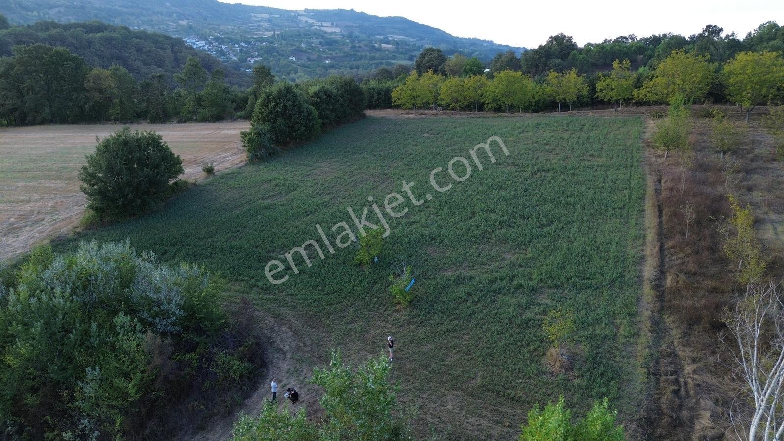 Bursa-kütahya Asfaltına Cepheli4800m2 Yatırımlık Arazi 60m Cephe — fotoğraf 30