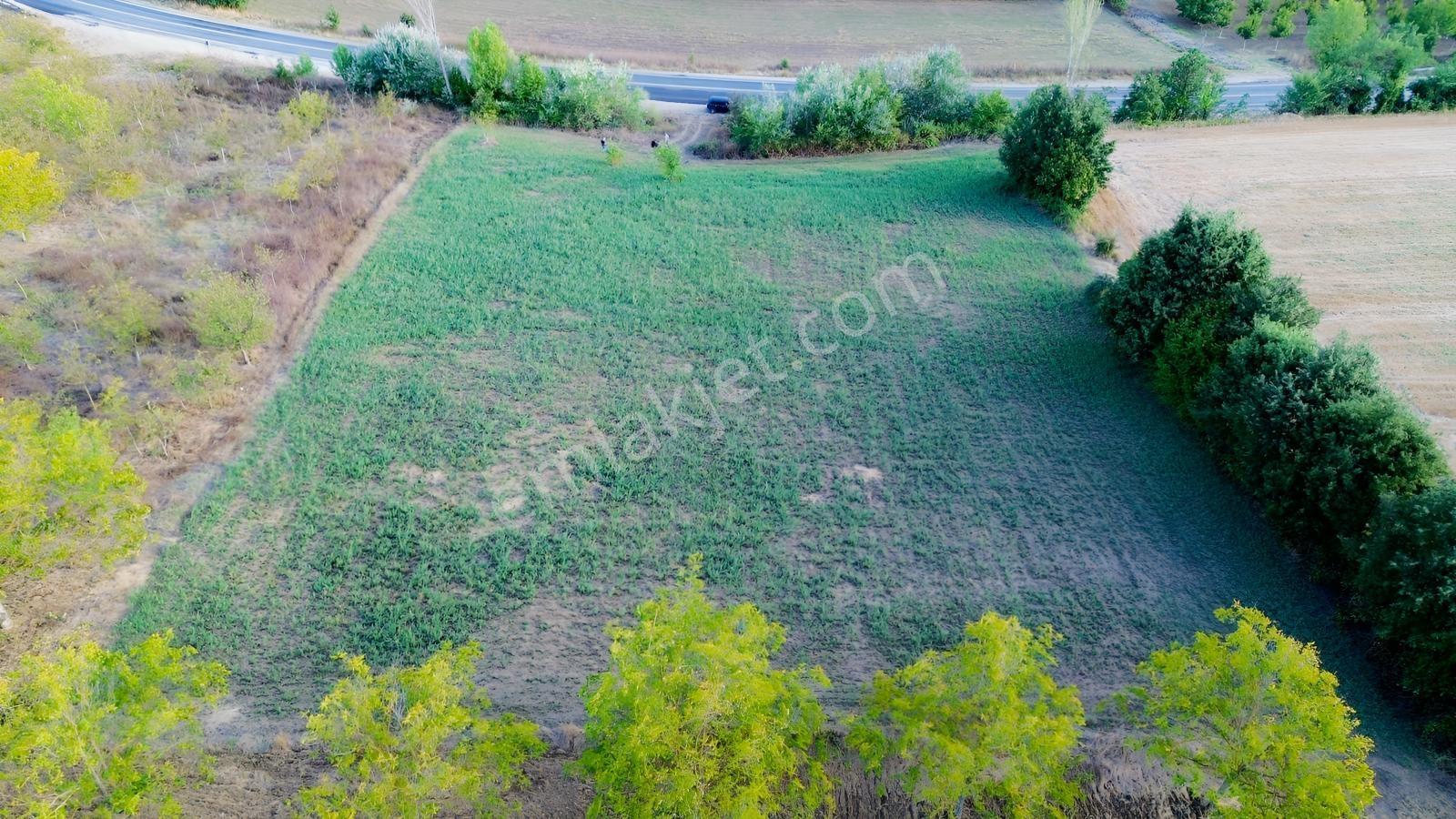 Bursa-kütahya Asfaltına Cepheli4800m2 Yatırımlık Arazi 60m Cephe — fotoğraf 31