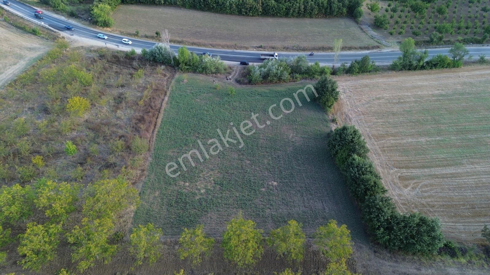 Bursa-kütahya Asfaltına Cepheli4800m2 Yatırımlık Arazi 60m Cephe — fotoğraf 32