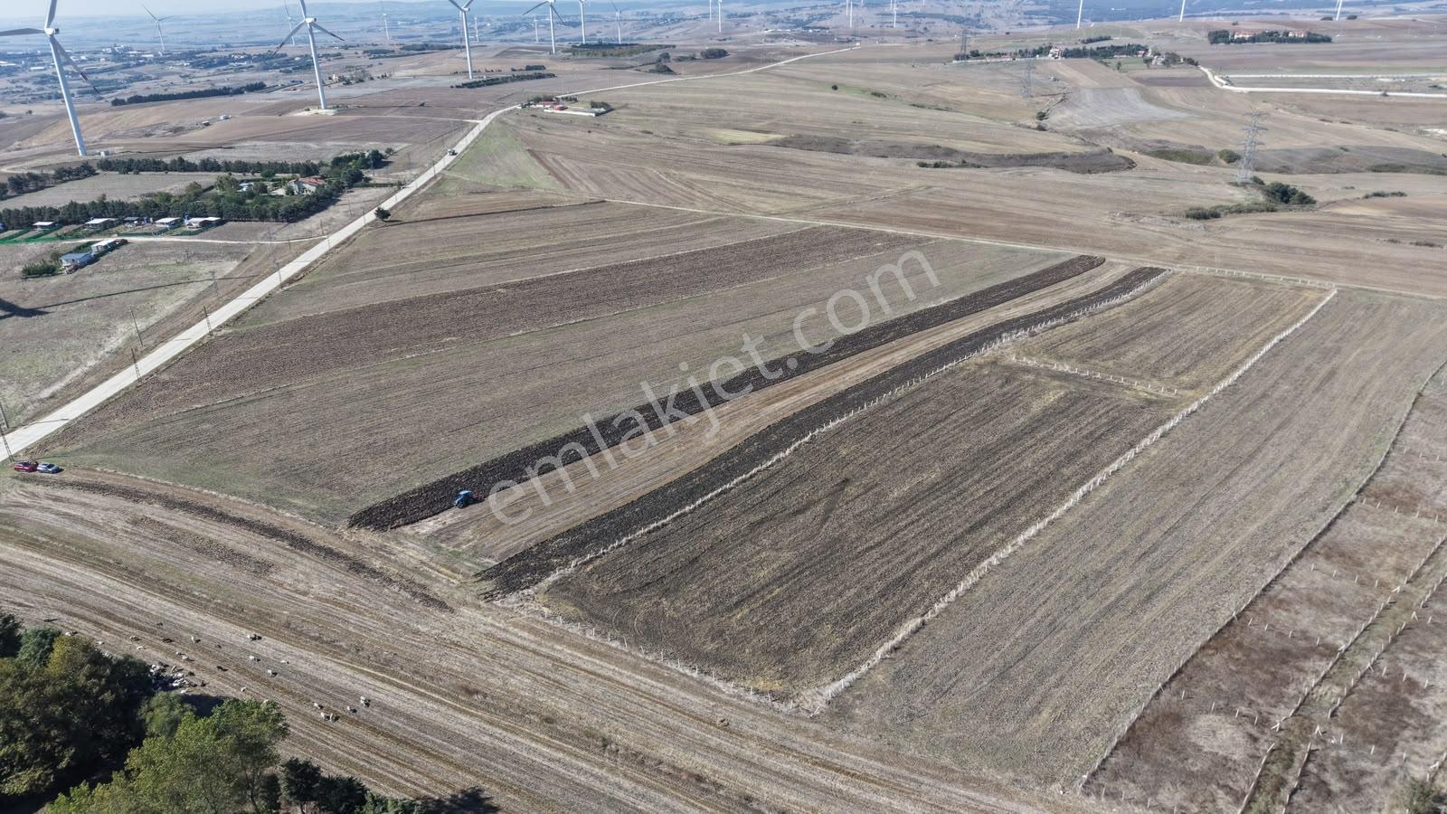 Silivri Kurfalı Mahallesin'de Yatırımlık Tarla 18.441 M2 — fotoğraf 5