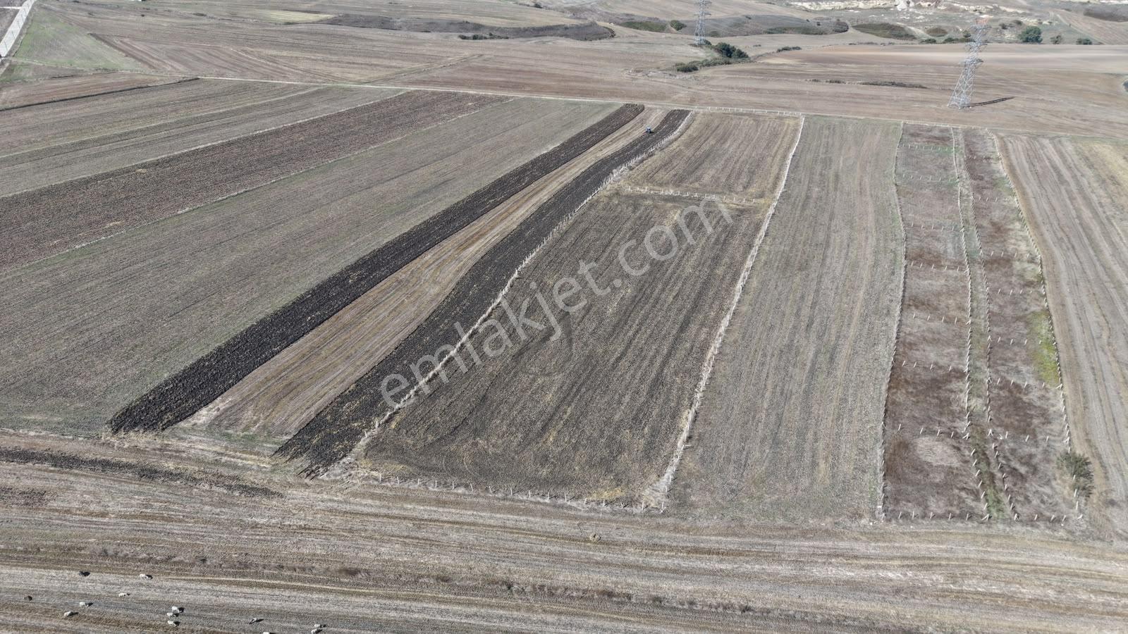 Silivri Kurfalı Mahallesin'de Yatırımlık Tarla 18.441 M2 — fotoğraf 8