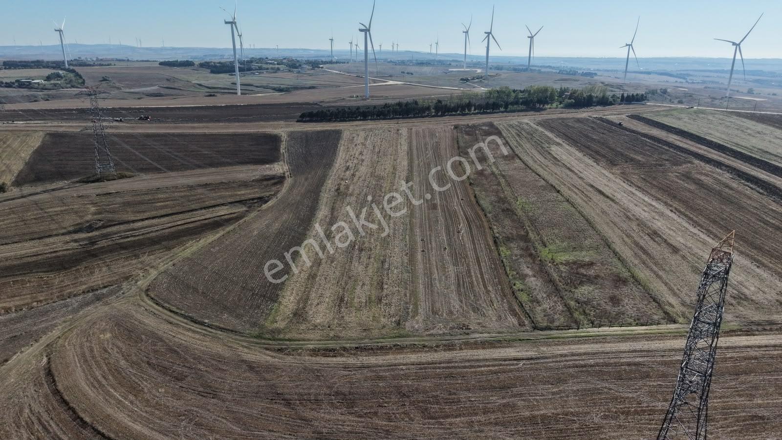 Silivri Kurfalı Mahallesin'de Yatırımlık Tarla 18.441 M2 — fotoğraf 12