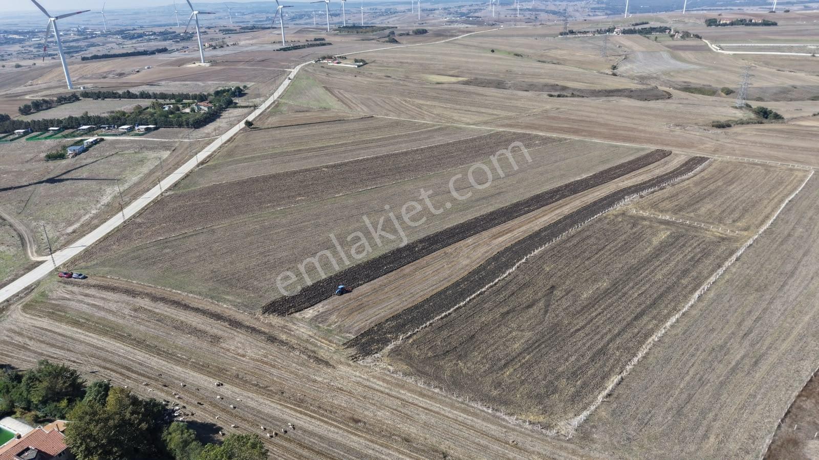 Silivri Kurfalı Mahallesin'de Yatırımlık Tarla 18.441 M2 — fotoğraf 13