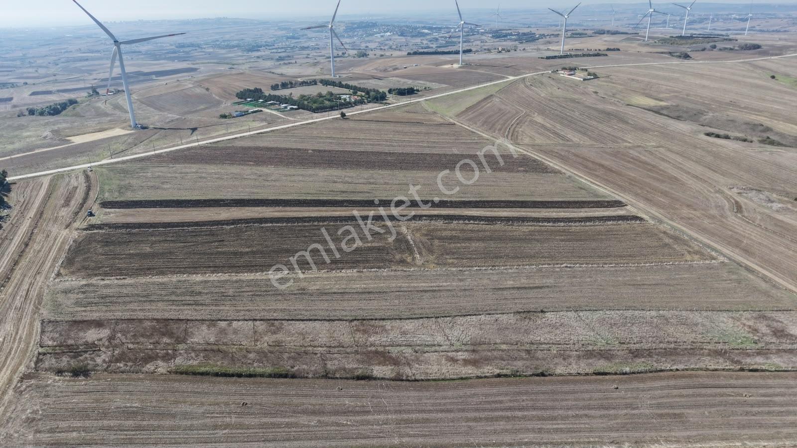 Silivri Kurfalı Mahallesin'de Yatırımlık Tarla 18.441 M2 — fotoğraf 16