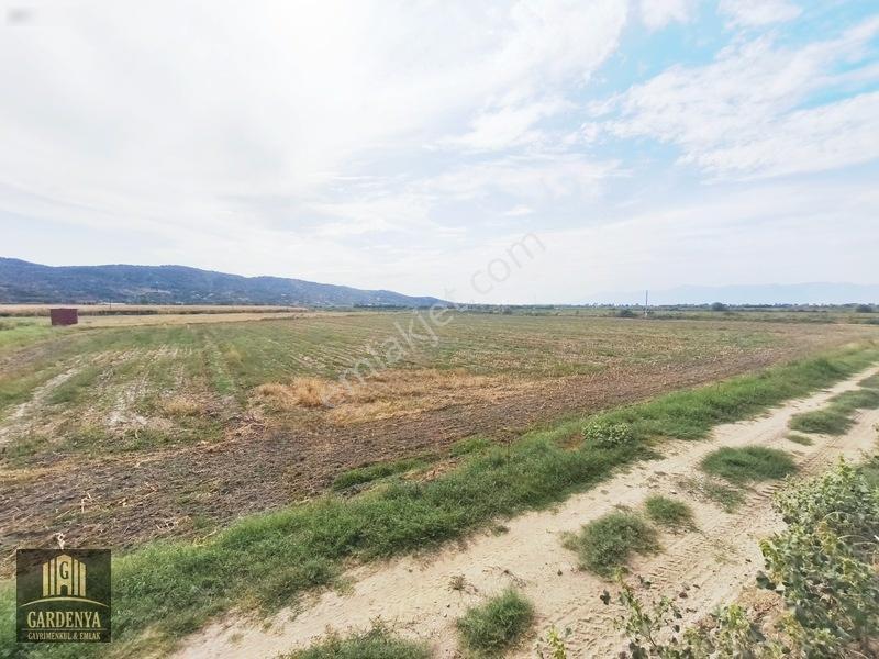 Söke Nalbantlar Köyü Fırsat 13,368 M2 Tarla Satılık