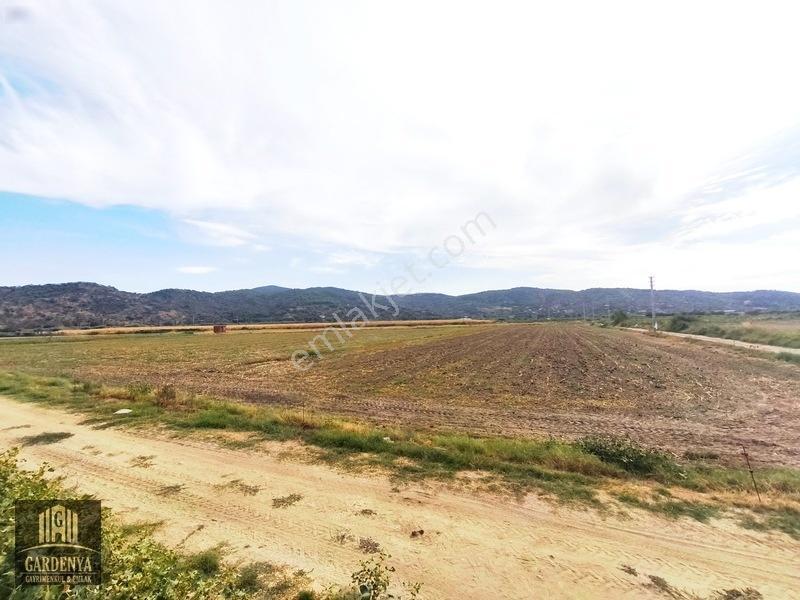 Söke Nalbantlar Köyü Fırsat 13,368 M2 Tarla Satılık — fotoğraf 2