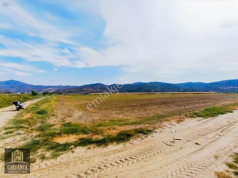 Söke Nalbantlar Köyü Fırsat 13,368 M2 Tarla Satılık — fotoğraf 3