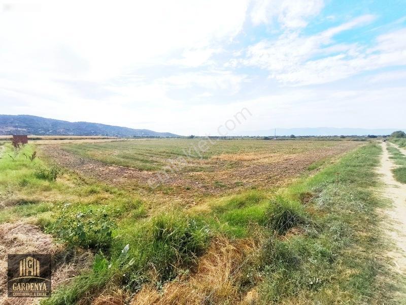 Söke Nalbantlar Köyü Fırsat 13,368 M2 Tarla Satılık — fotoğraf 5