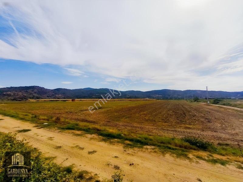 Söke Nalbantlar Köyü Fırsat 13,368 M2 Tarla Satılık — fotoğraf 6