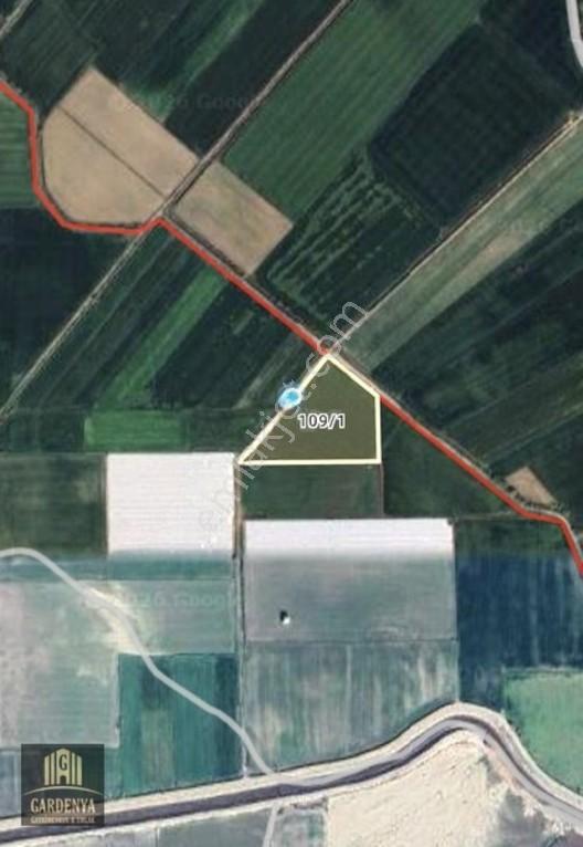 Söke Nalbantlar Köyü Fırsat 13,368 M2 Tarla Satılık — fotoğraf 8