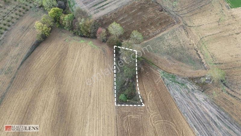 Büyükhataplı'da Çitle Çevrili 461 M2 Hobi Bahçelik Tarla — fotoğraf 2
