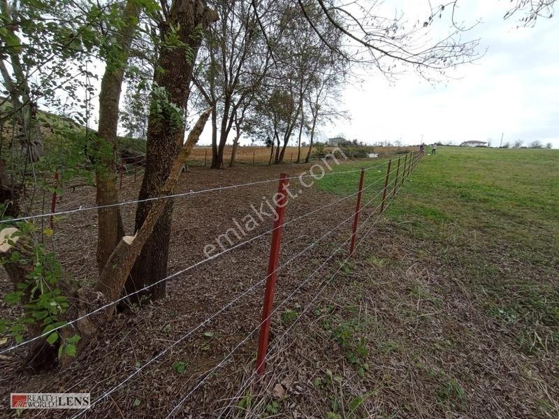 Büyükhataplı'da Çitle Çevrili 461 M2 Hobi Bahçelik Tarla — fotoğraf 5