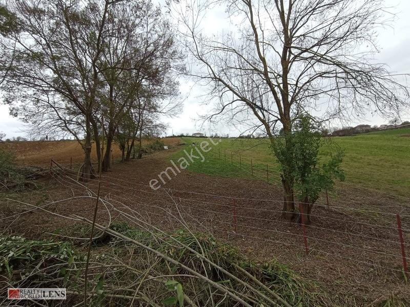 Büyükhataplı'da Çitle Çevrili 461 M2 Hobi Bahçelik Tarla — fotoğraf 6