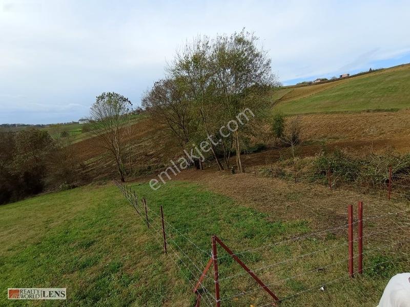 Büyükhataplı'da Çitle Çevrili 461 M2 Hobi Bahçelik Tarla — fotoğraf 7