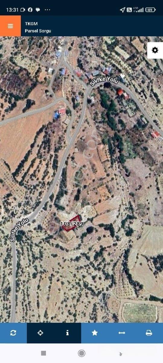 Silifke Kıca Yatırım Lık Tarla — fotoğraf 2