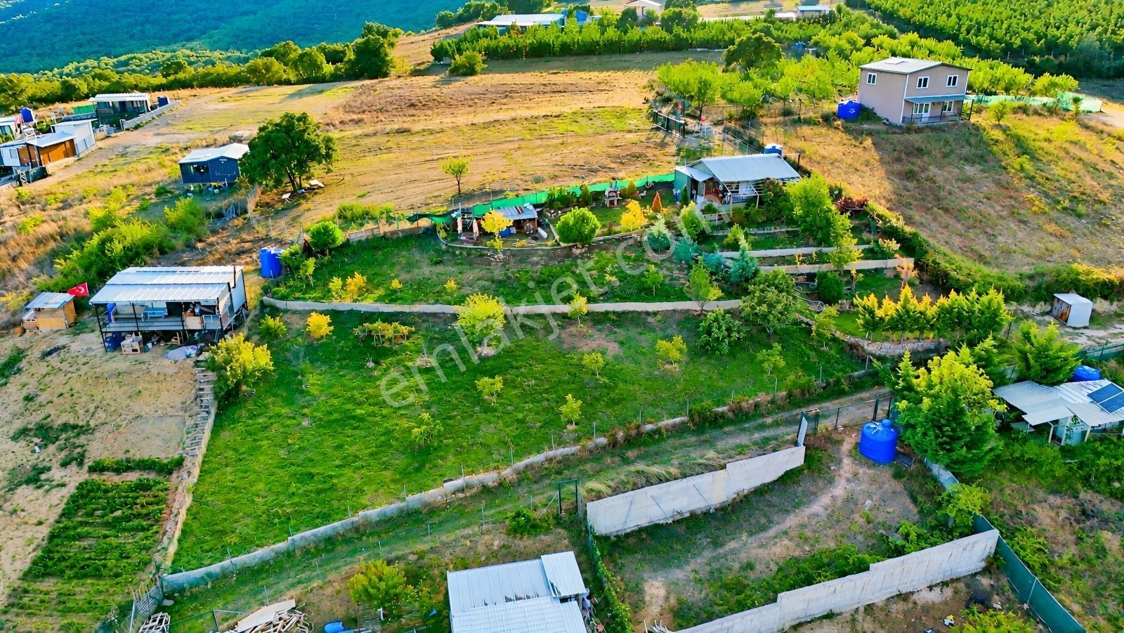 Realty Nexus'dan Yenişehir Hamidiye'de Kurulu Düzen Hobi Bahçesi — fotoğraf 2