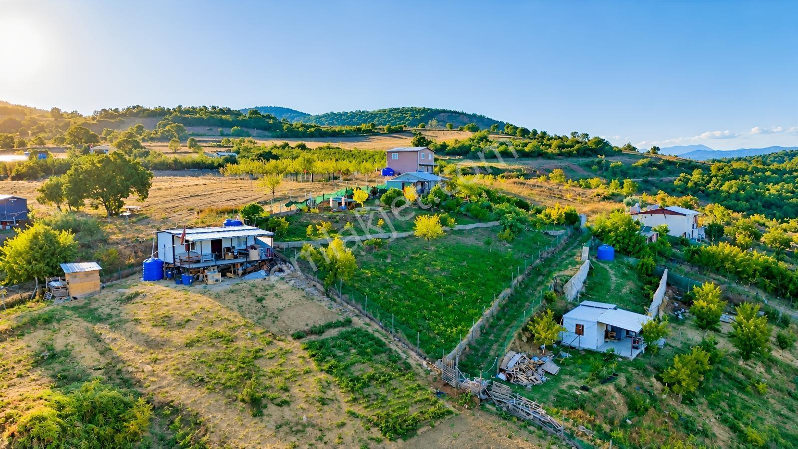 Realty Nexus'dan Yenişehir Hamidiye'de Kurulu Düzen Hobi Bahçesi — fotoğraf 3