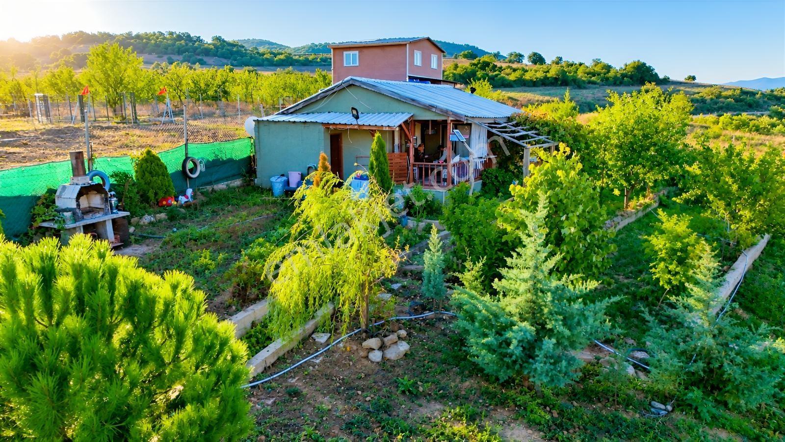 Realty Nexus'dan Yenişehir Hamidiye'de Kurulu Düzen Hobi Bahçesi — fotoğraf 4