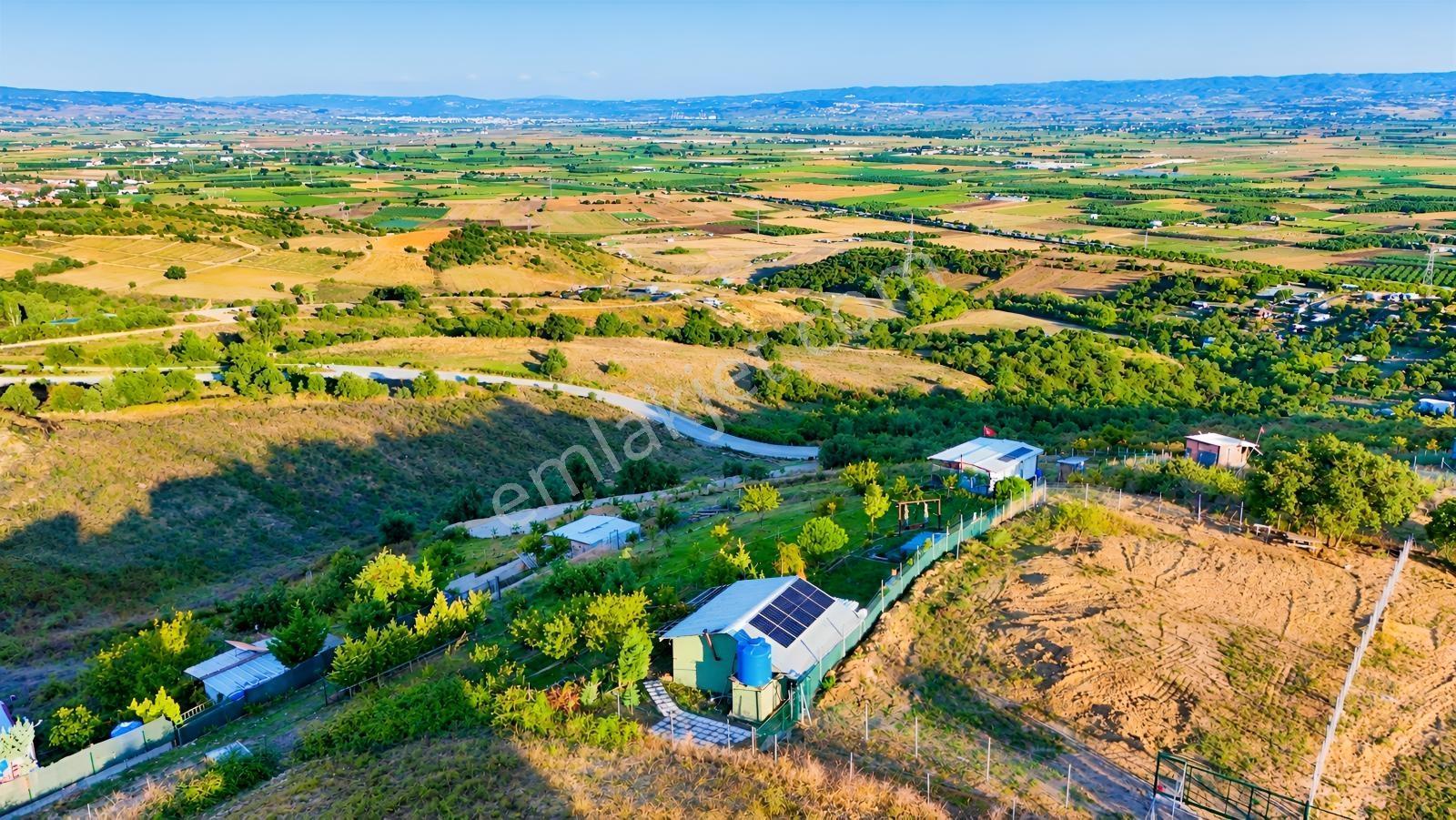Realty Nexus'dan Yenişehir Hamidiye'de Kurulu Düzen Hobi Bahçesi — fotoğraf 5