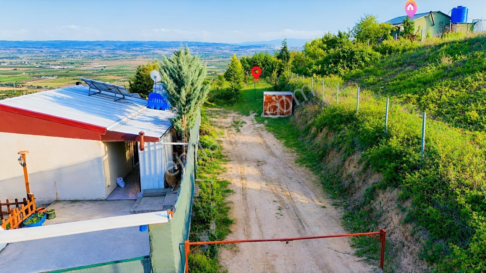 Realty Nexus'dan Yenişehir Hamidiye'de Kurulu Düzen Hobi Bahçesi — fotoğraf 6