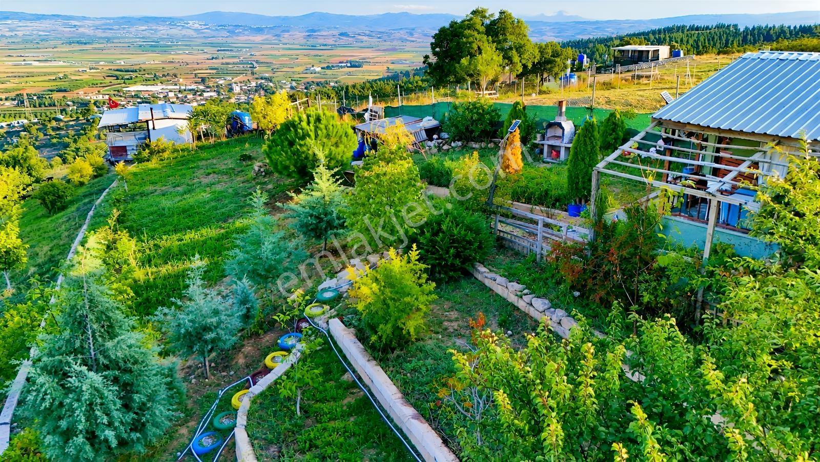 Realty Nexus'dan Yenişehir Hamidiye'de Kurulu Düzen Hobi Bahçesi — fotoğraf 7