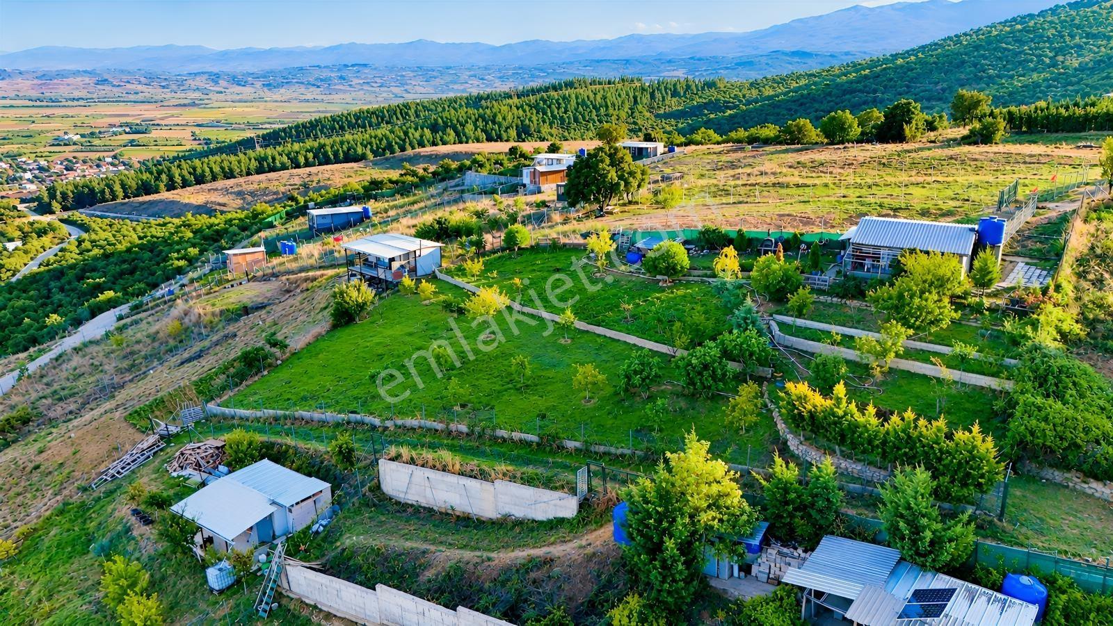Realty Nexus'dan Yenişehir Hamidiye'de Kurulu Düzen Hobi Bahçesi — fotoğraf 8