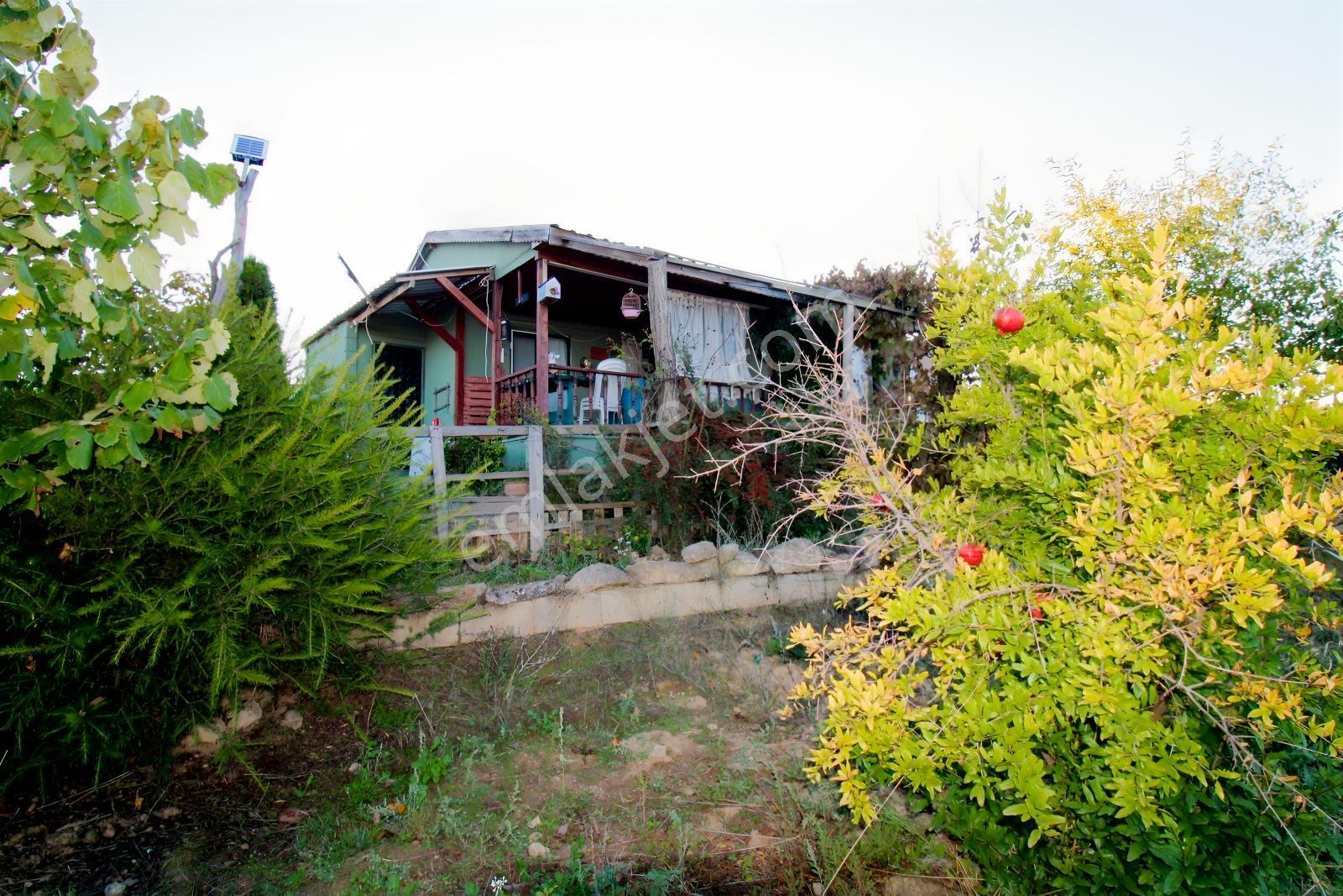 Realty Nexus'dan Yenişehir Hamidiye'de Kurulu Düzen Hobi Bahçesi — fotoğraf 10