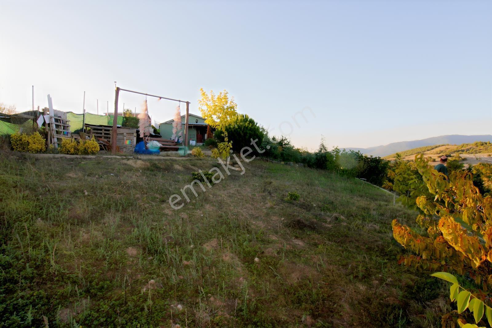 Realty Nexus'dan Yenişehir Hamidiye'de Kurulu Düzen Hobi Bahçesi — fotoğraf 25