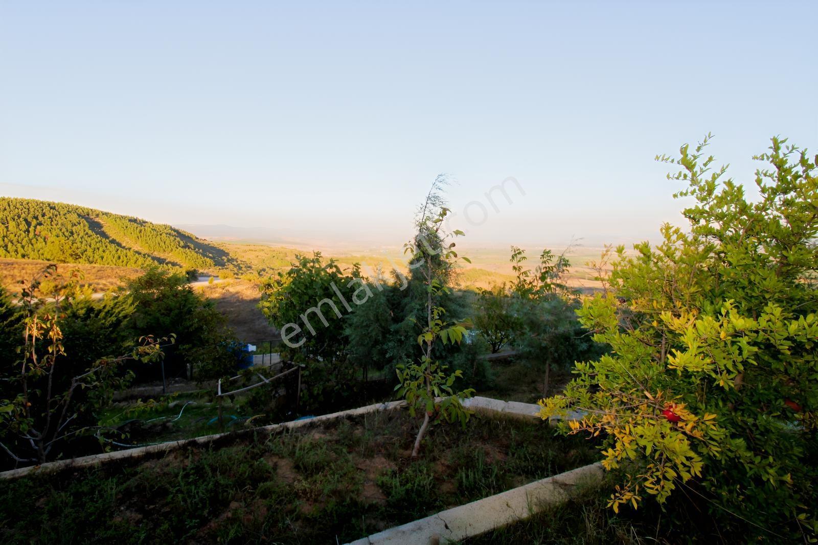 Realty Nexus'dan Yenişehir Hamidiye'de Kurulu Düzen Hobi Bahçesi — fotoğraf 26