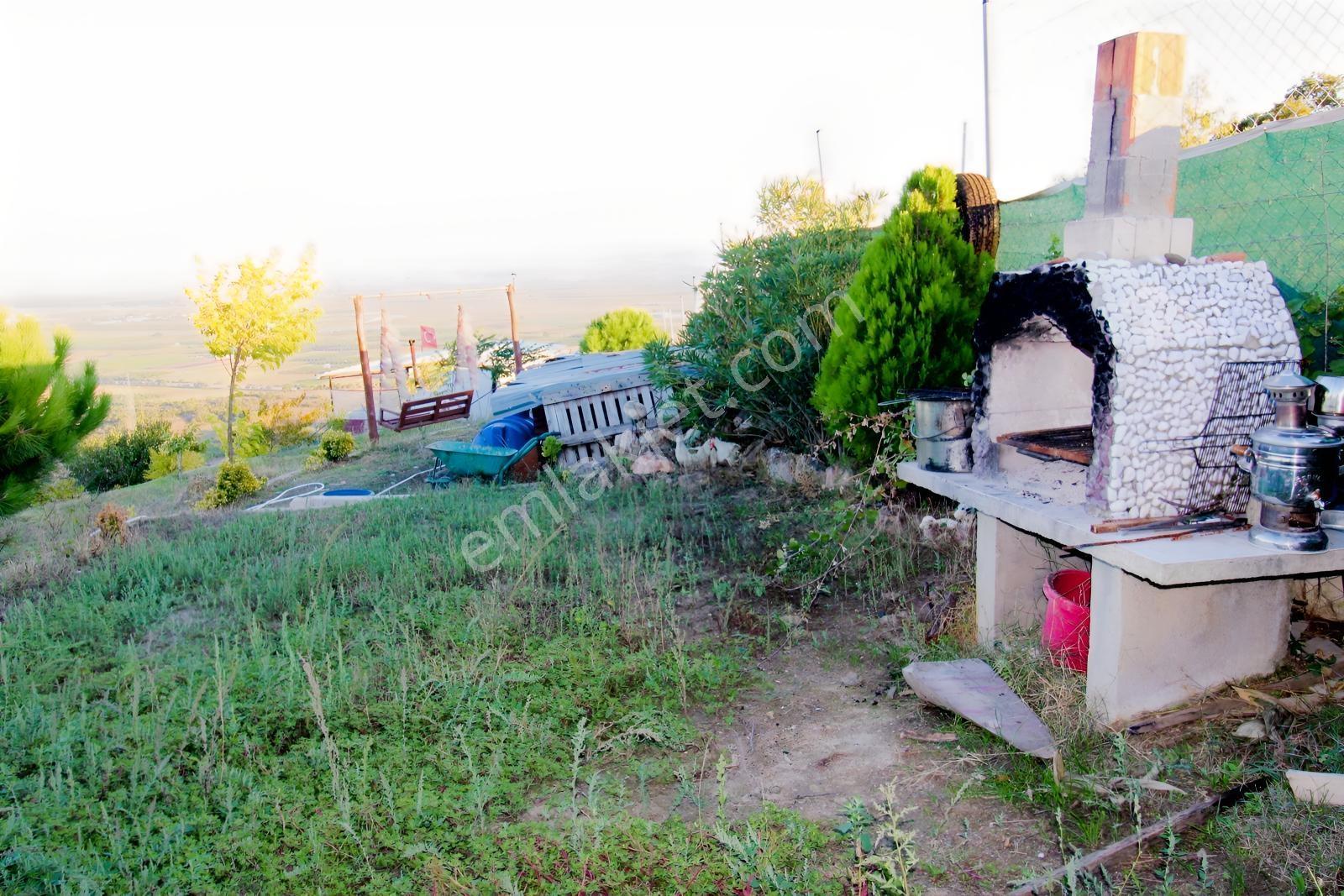 Realty Nexus'dan Yenişehir Hamidiye'de Kurulu Düzen Hobi Bahçesi — fotoğraf 29