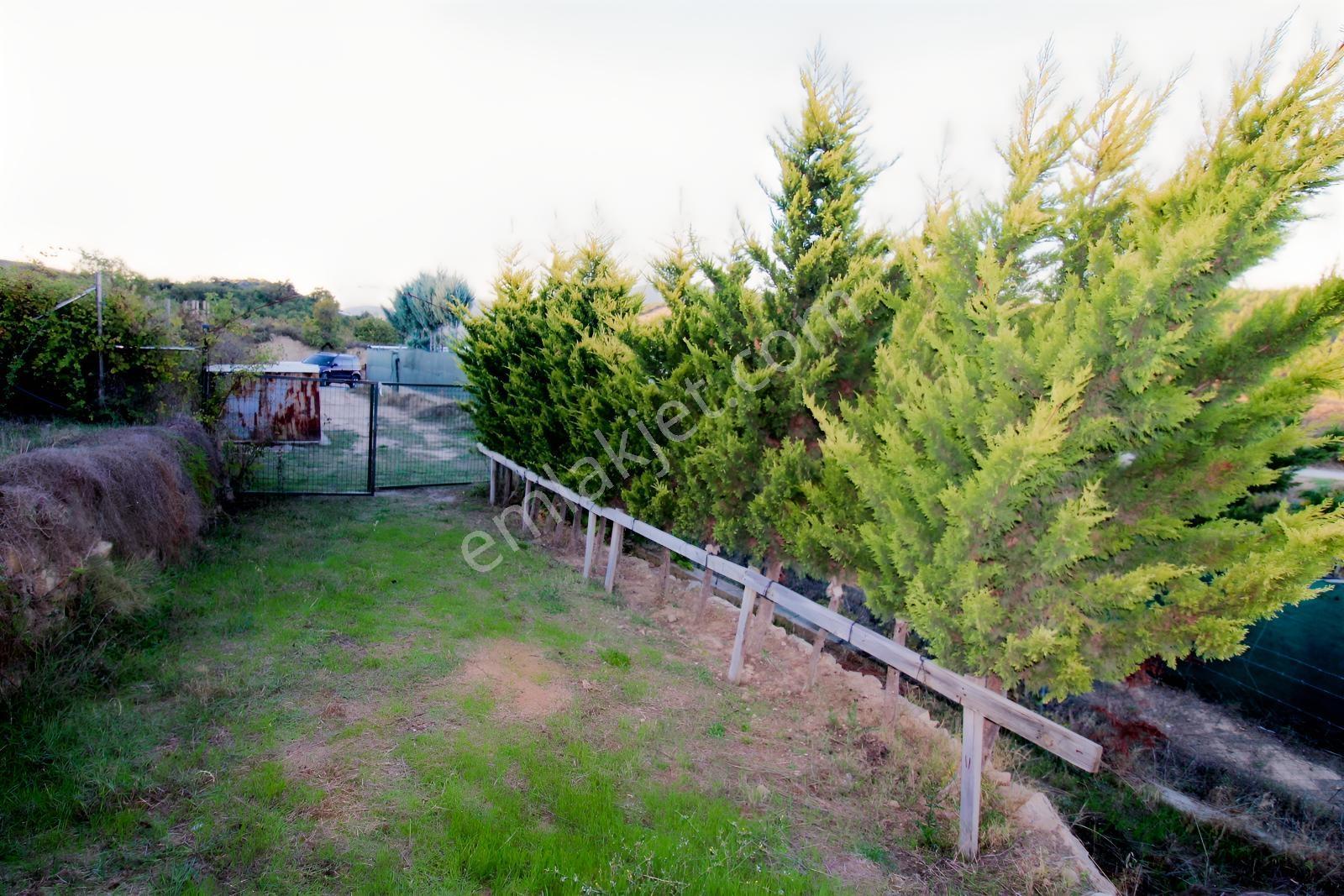 Realty Nexus'dan Yenişehir Hamidiye'de Kurulu Düzen Hobi Bahçesi — fotoğraf 30