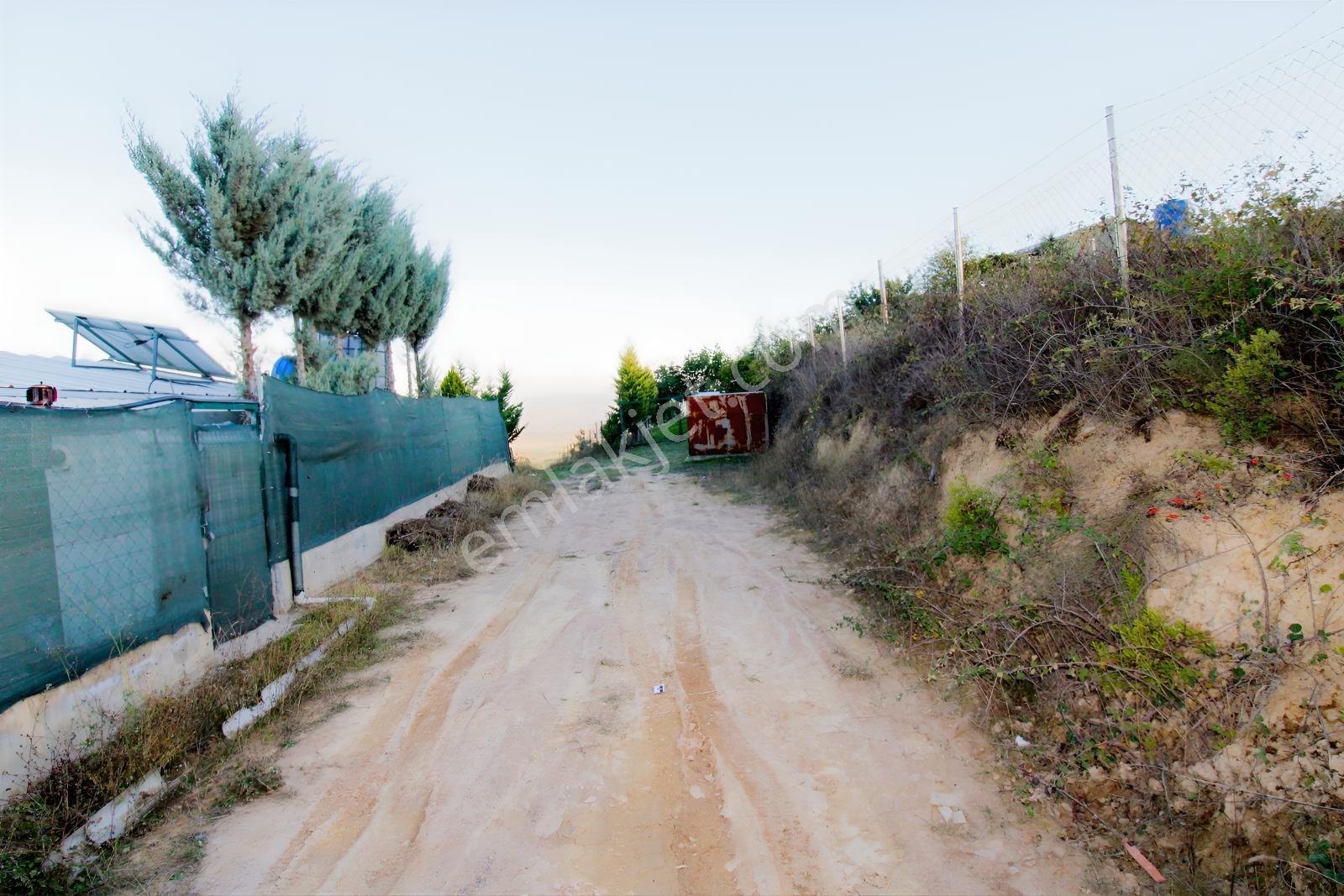 Realty Nexus'dan Yenişehir Hamidiye'de Kurulu Düzen Hobi Bahçesi — fotoğraf 33