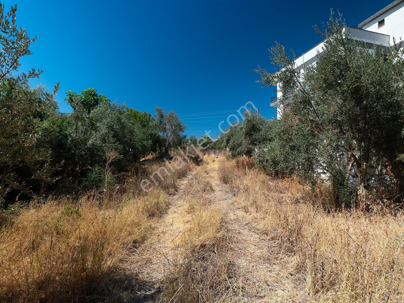 Menderes Oğlananasında Satılık 371 M² Arsa | Köyiçi İmarlı — fotoğraf 5