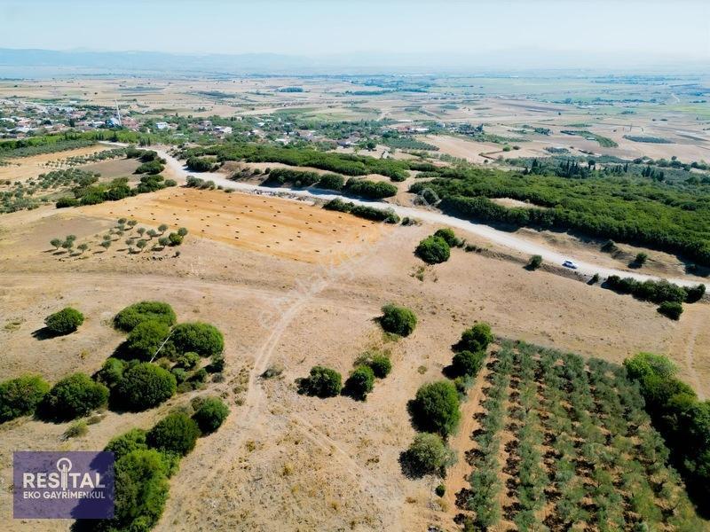 Harmanlı Köyüstü Tutulan Bölgede Satılık Müstakil Tapulu Tarla