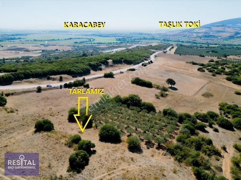 Harmanlı Köyüstü Tutulan Bölgede Satılık Müstakil Tapulu Tarla — fotoğraf 3