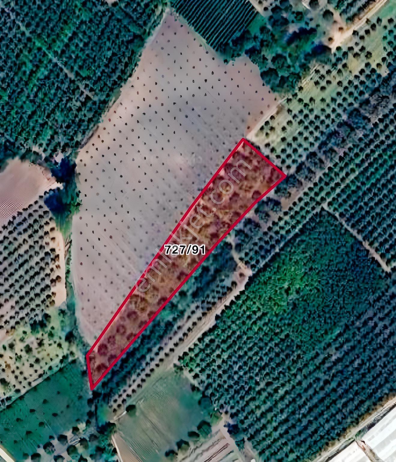 Bursa İznik Çakırca'da 2.714 M² Satılık Tarla — fotoğraf 2
