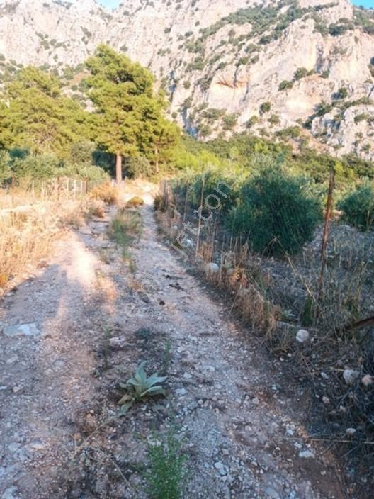 Kayadibi Satılık Arsa( Saklıkent Kanyonu Yanı)