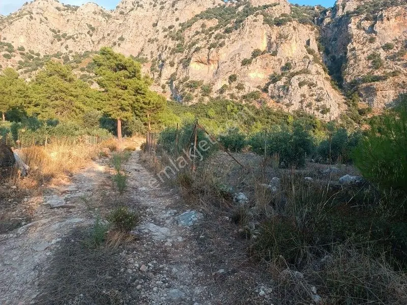 Kayadibi Satılık Arsa( Saklıkent Kanyonu Yanı) — fotoğraf 3