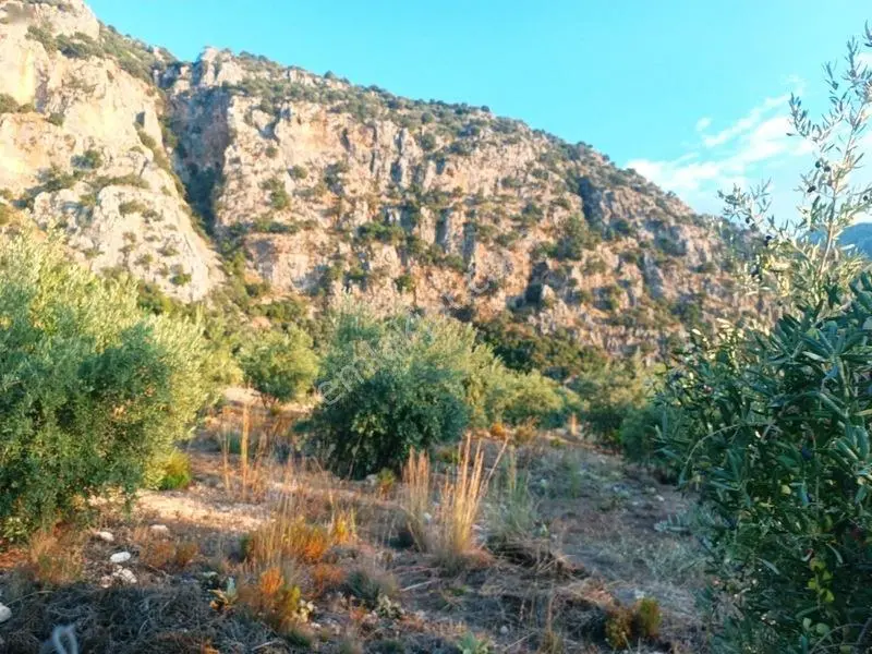 Kayadibi Satılık Arsa( Saklıkent Kanyonu Yanı) — fotoğraf 5