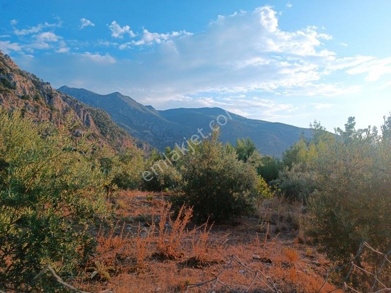 Kayadibi Satılık Arsa( Saklıkent Kanyonu Yanı) — fotoğraf 6